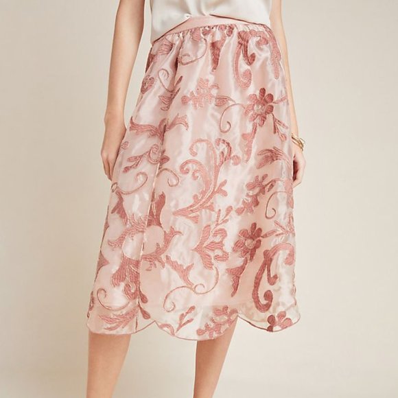 Anthropologie Shannon Embroidered Midi Skirt - Picture 1 of 4